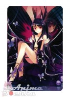 Accel World 13